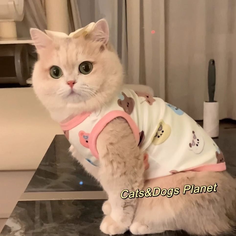 宠物猫咪衣服狗狗通用背心蓝金渐层布偶猫幼猫秋冬新款防掉yj