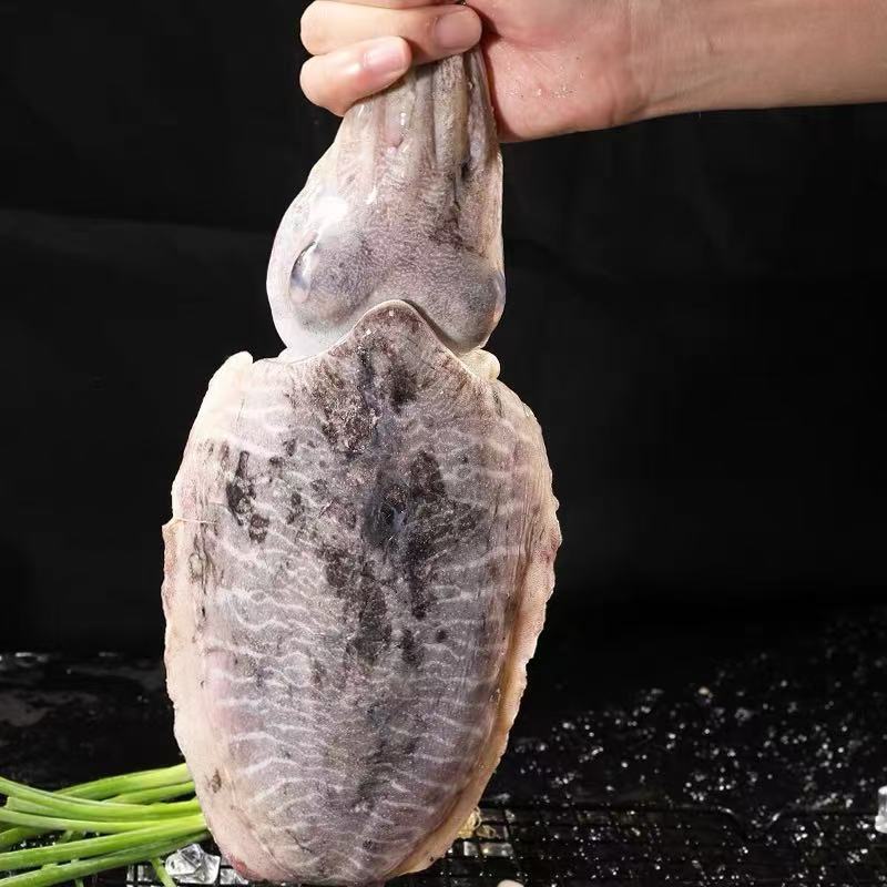 纯野生海钓墨鱼3斤净重4-5个码头新货