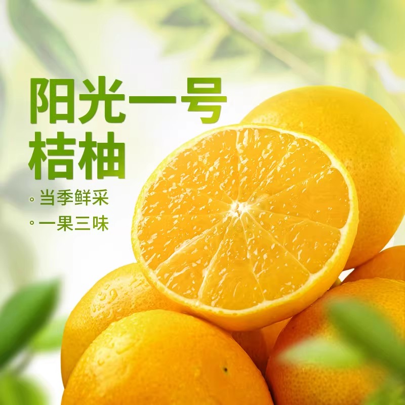 阳光1号桔柚当季新鲜水果整箱时令生鲜整箱5斤装