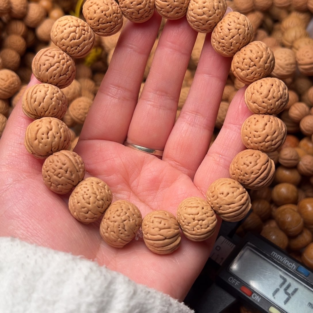 17尺寸野生铁扇桃核