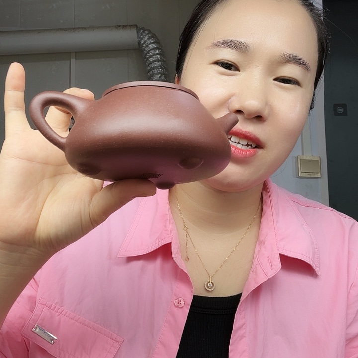 茶壶紫砂原矿半手工紫泥景州石瓢300cc