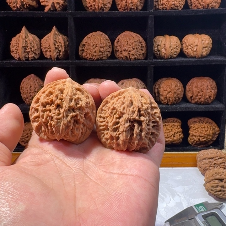 风***峰文玩核桃把件盘龙纹