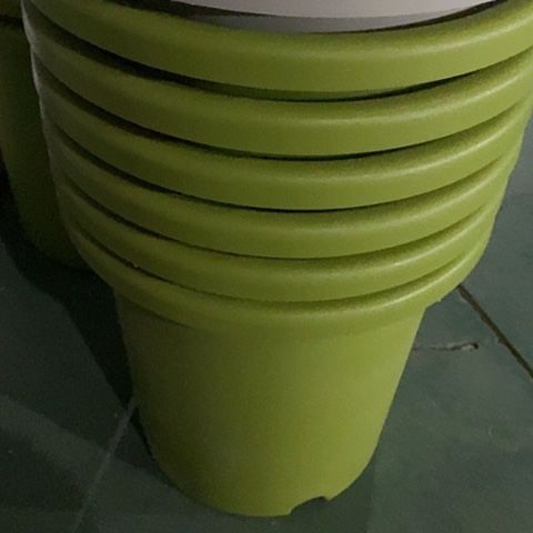 树脂四季7号微瑕果绿无托6个