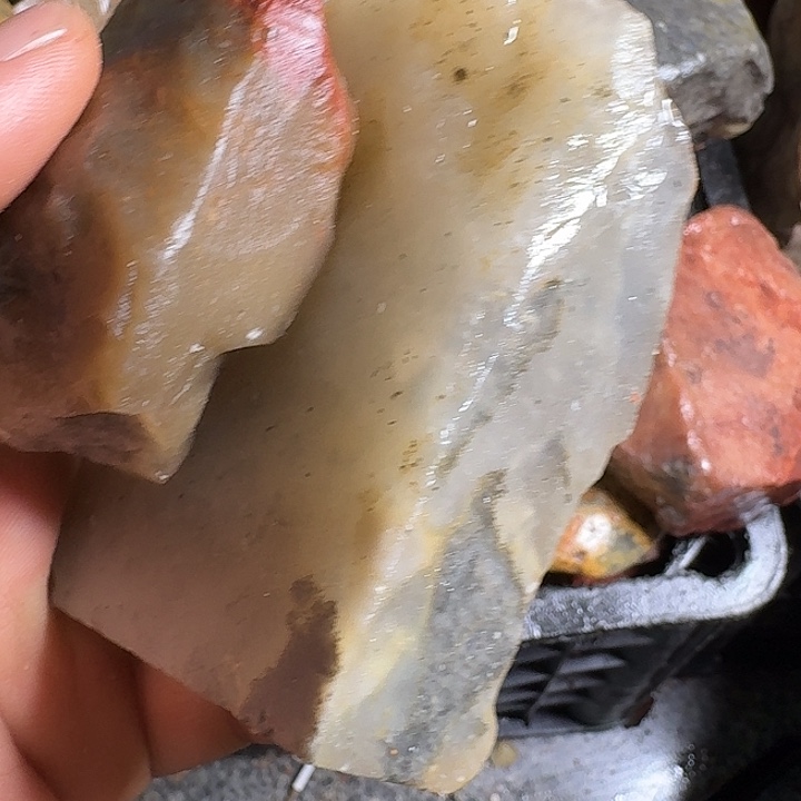 东***学寿山石寿山石的种类