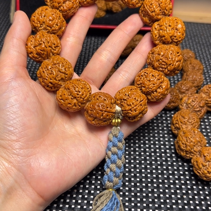 手串金刚菩提24飞碟帝王花