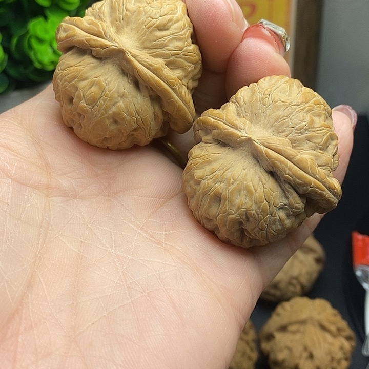 大叶紫檀（黑酸枝木类）元宝42