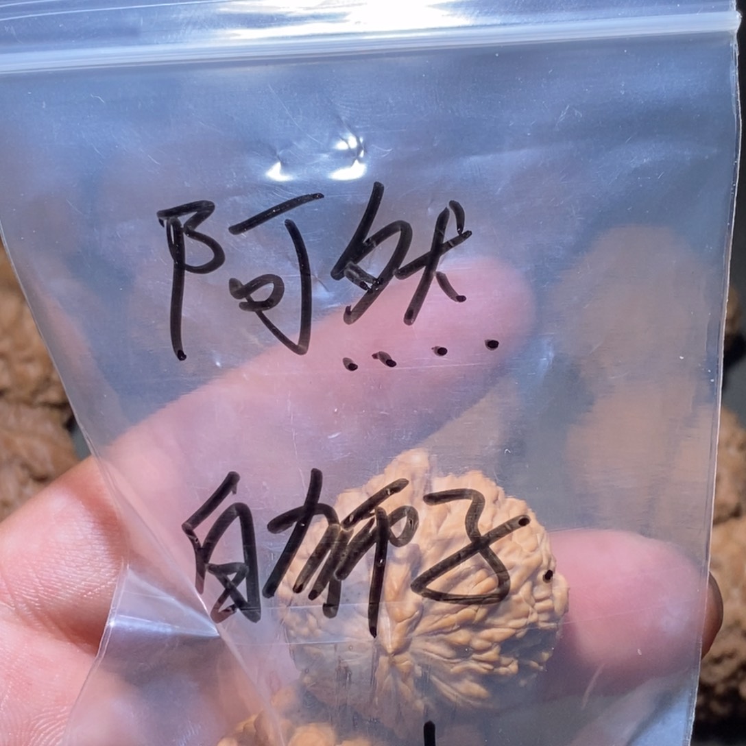 文玩核桃吊坠阿*白狮子