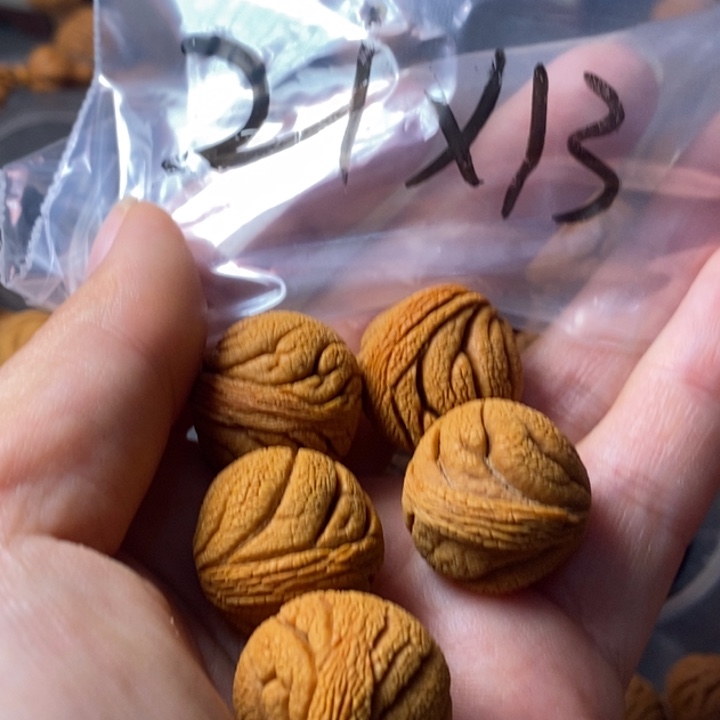 文玩核桃手串秦岭野生龙纹桃核21