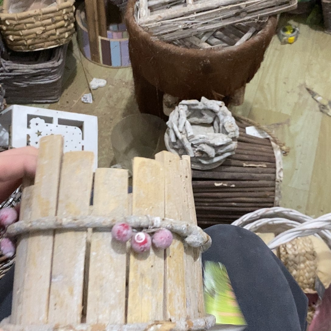 多***年花盆直播间价格一只