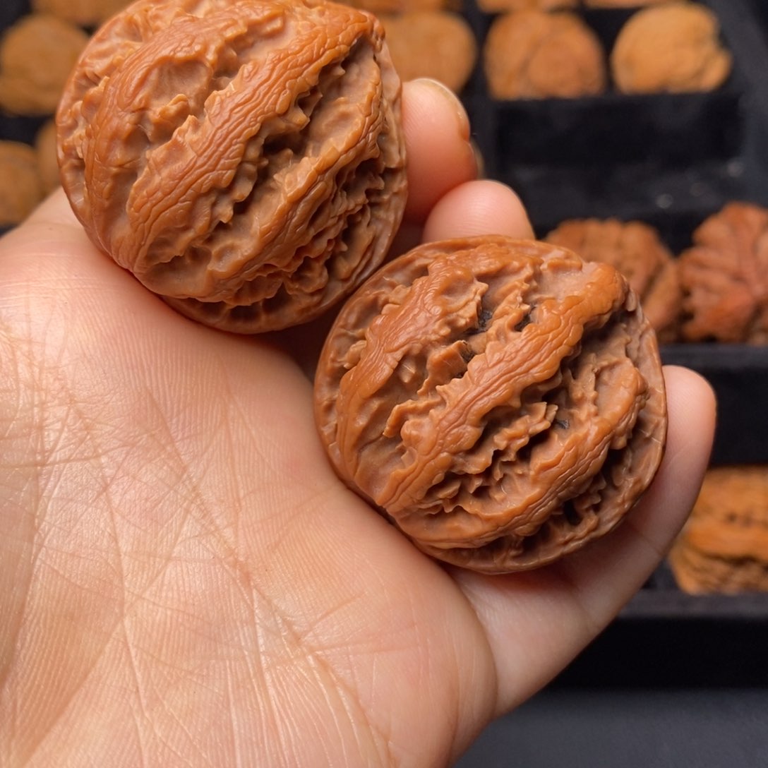 文玩核桃把件秦岭野生核桃