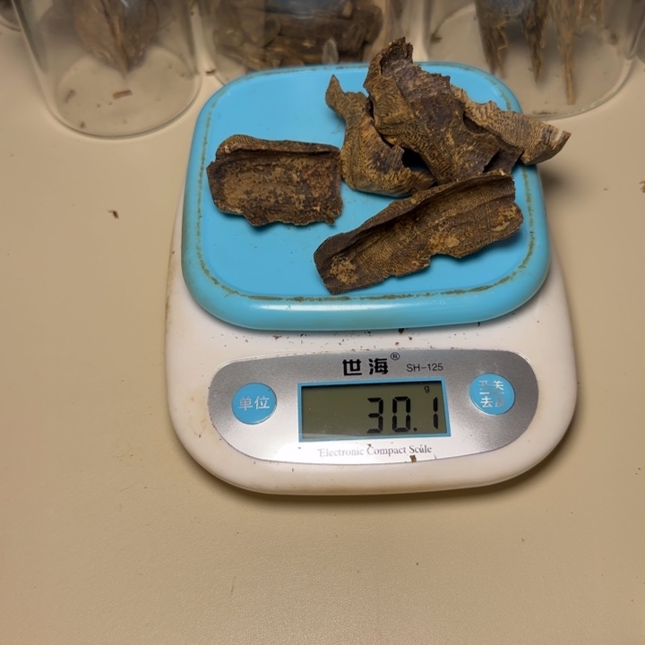 树脂制品残*海南香霸树30克
