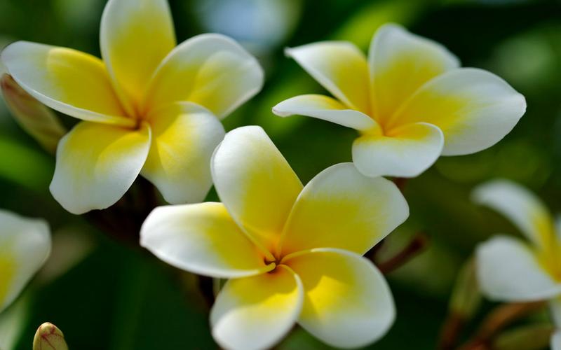 开心美妆服饰百货店