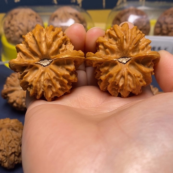 文玩核桃把件曹大龙