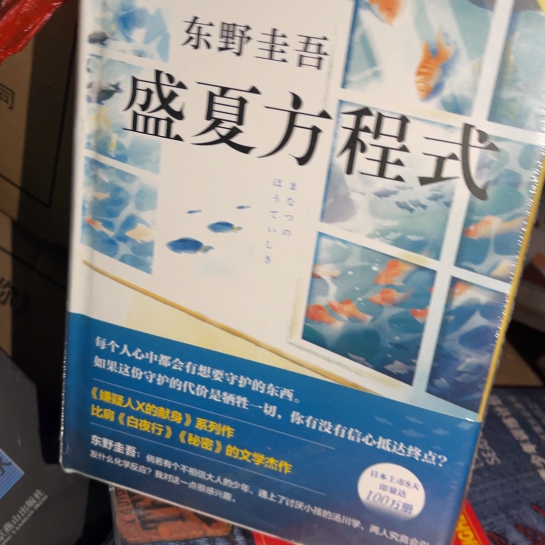 盛夏方程式精装一个