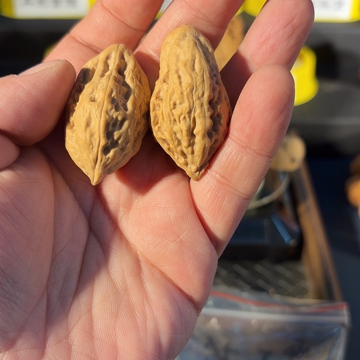 *****桃核把件小白菜福利价