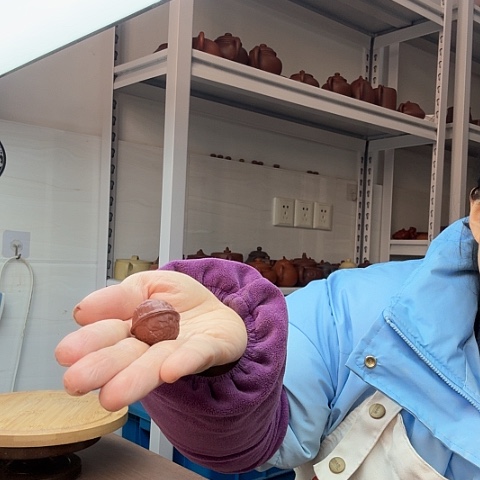 朱泥核桃茶宠茶宠