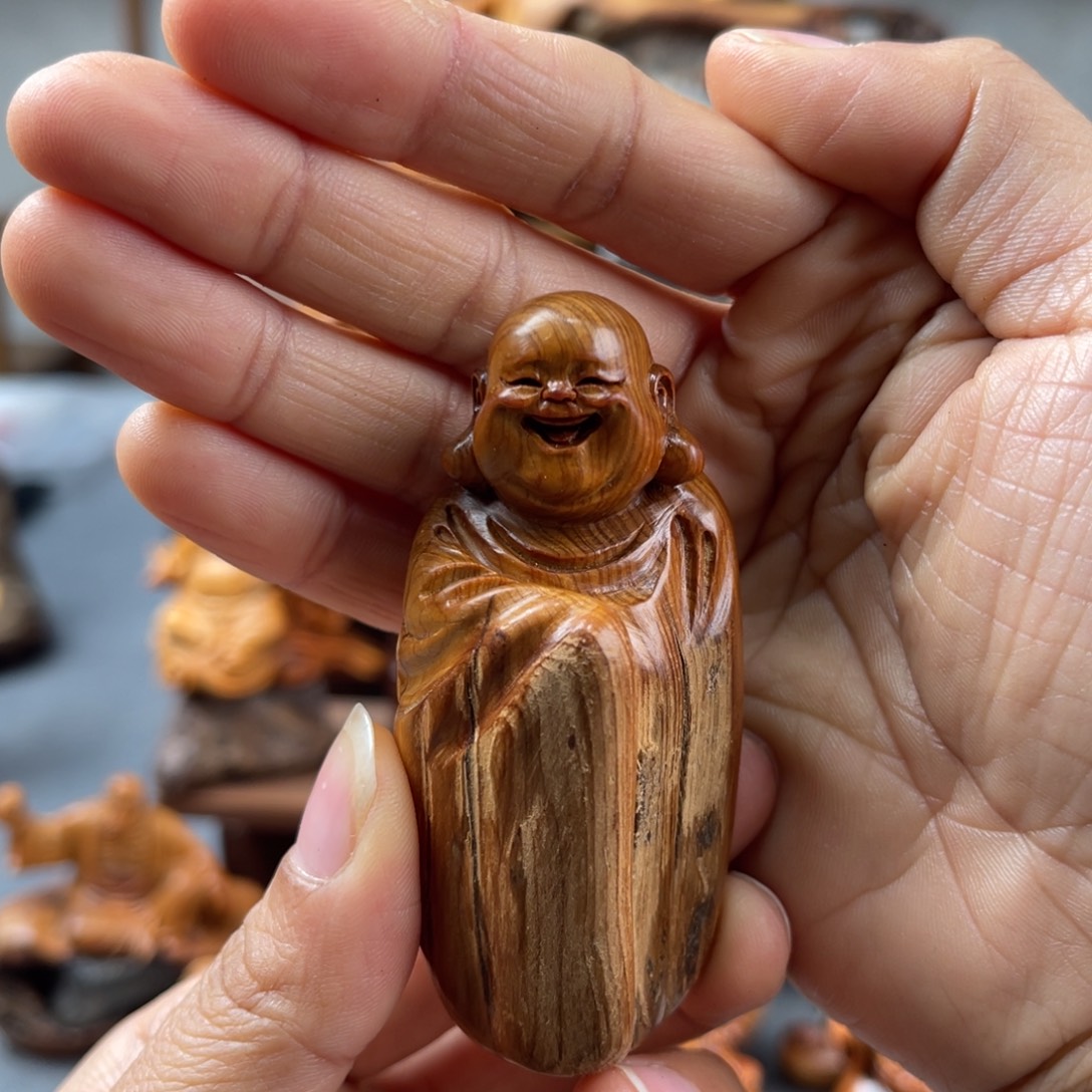 柏木（崖柏）崖柏太行山脉