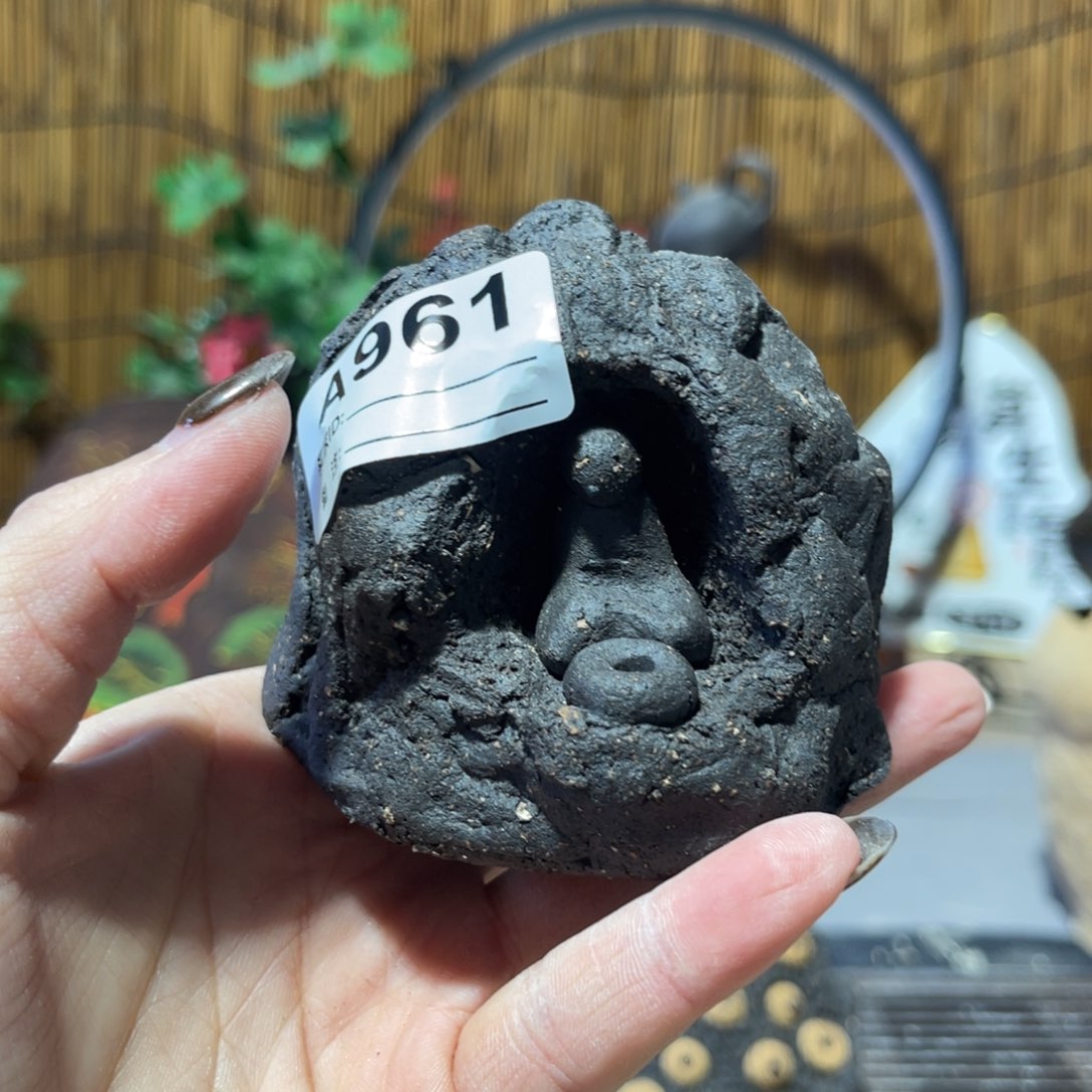 木村信弘柴烧保平