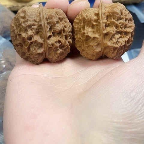 文玩核桃把件苹果圆带彩色差42