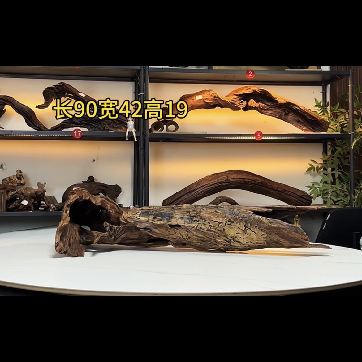 张大狼造景沉木长90cm趴缸树洞 南美鱼缸造景 秒沉
