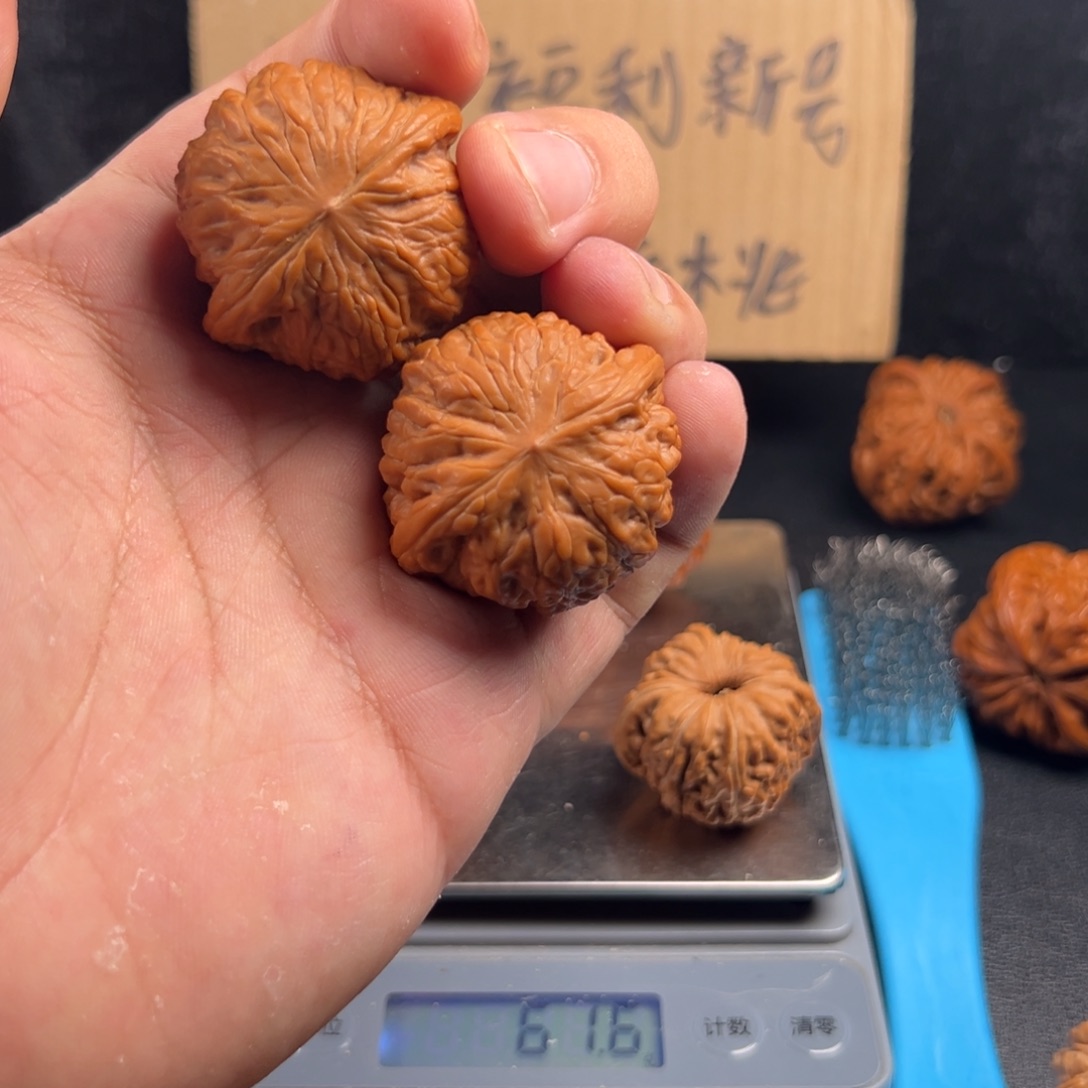 陳***u文玩核桃把件铁锤妹妹一低