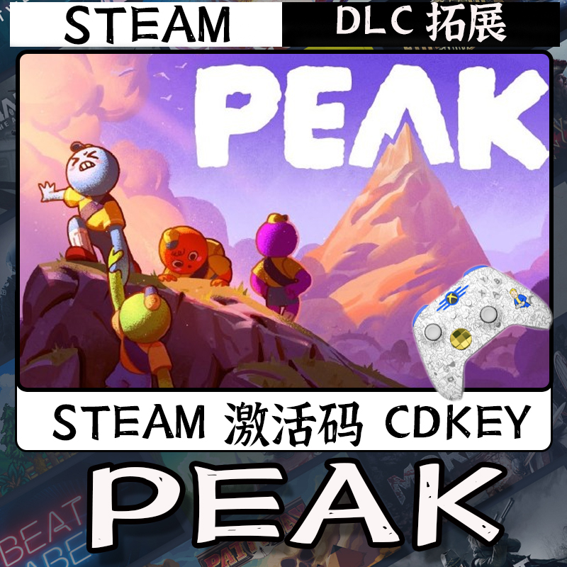 【PEAK】入库支持游戏无线手柄入库支持PC有线游戏手柄