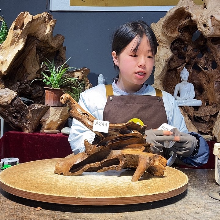 小*人244株木随行的小根艺