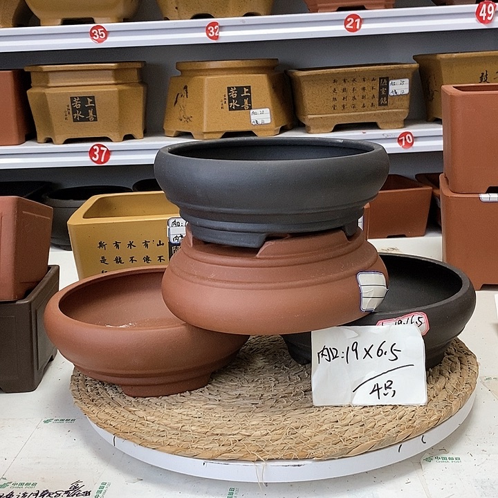 紫砂花盆今天下午