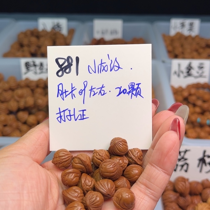 桃核把件小龙纹09尺寸