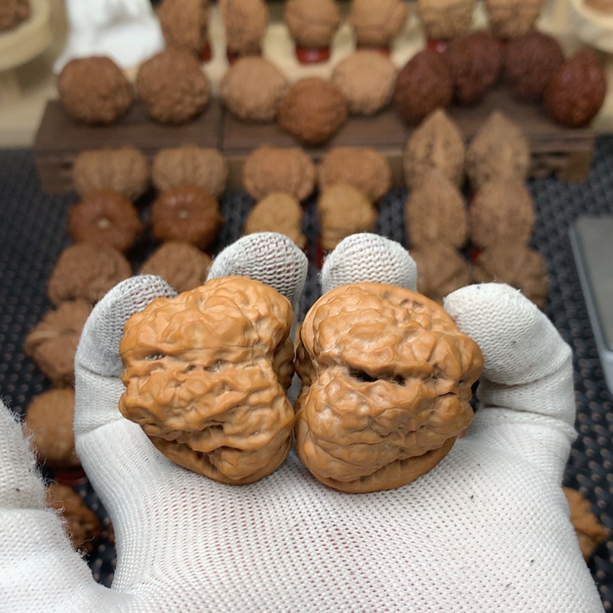 【闪购商品】文玩核桃把件Z*全品蛤蟆头43开背