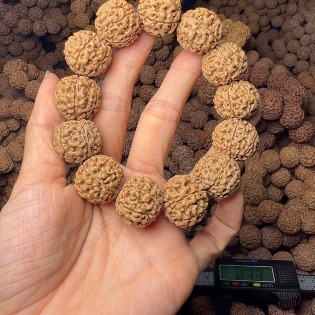 手串金刚菩提6瓣卡20尺，80号