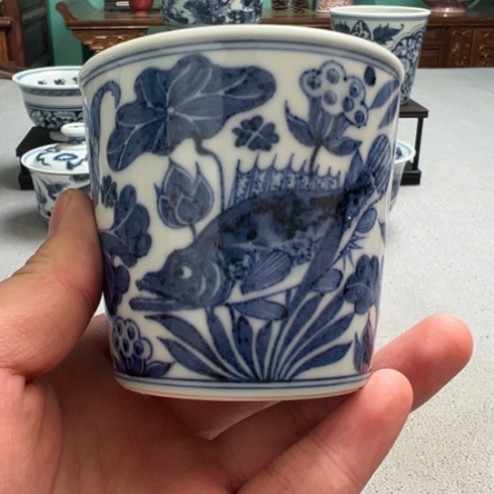 明续幽蓝鱼藻可乐杯