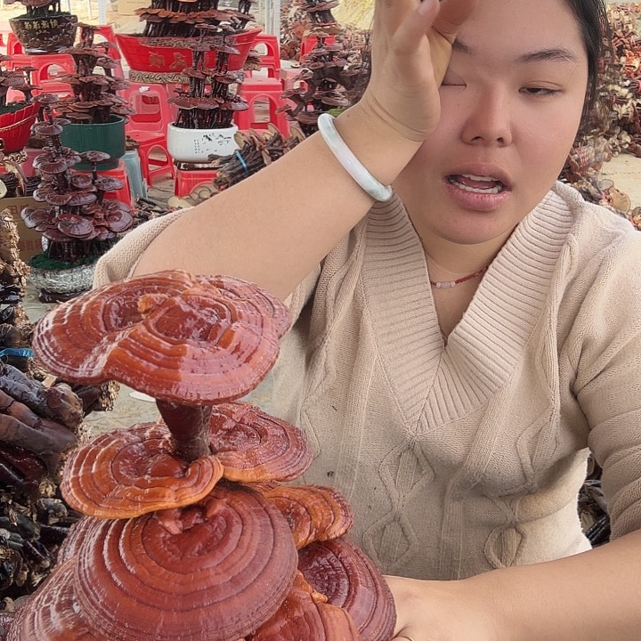 无花朵姜*全灵芝花开了