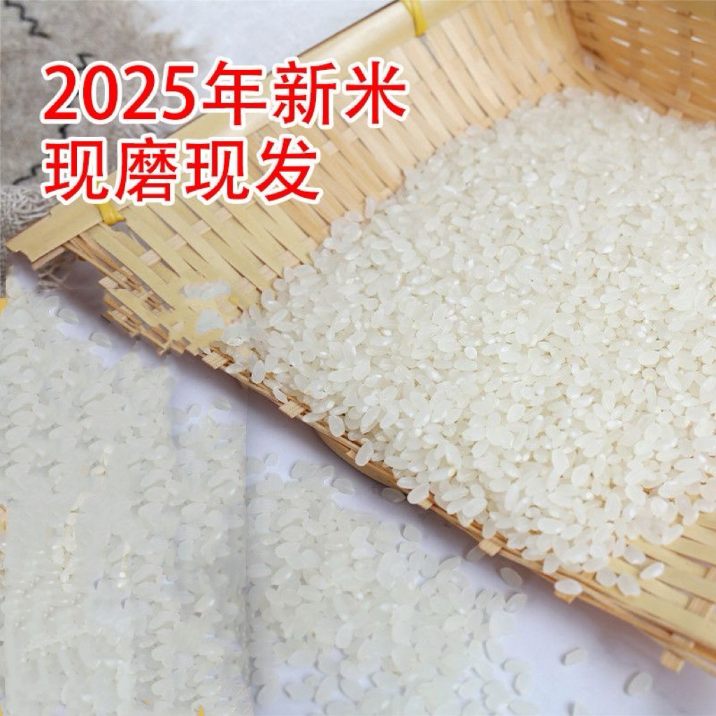 （3斤）2025年新东北农家大米 吉宏六号