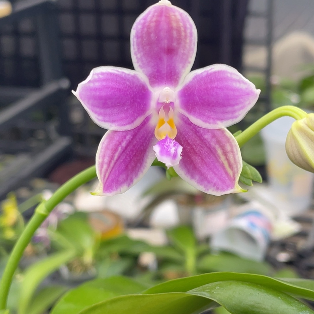 完全开放漏漏漏1111