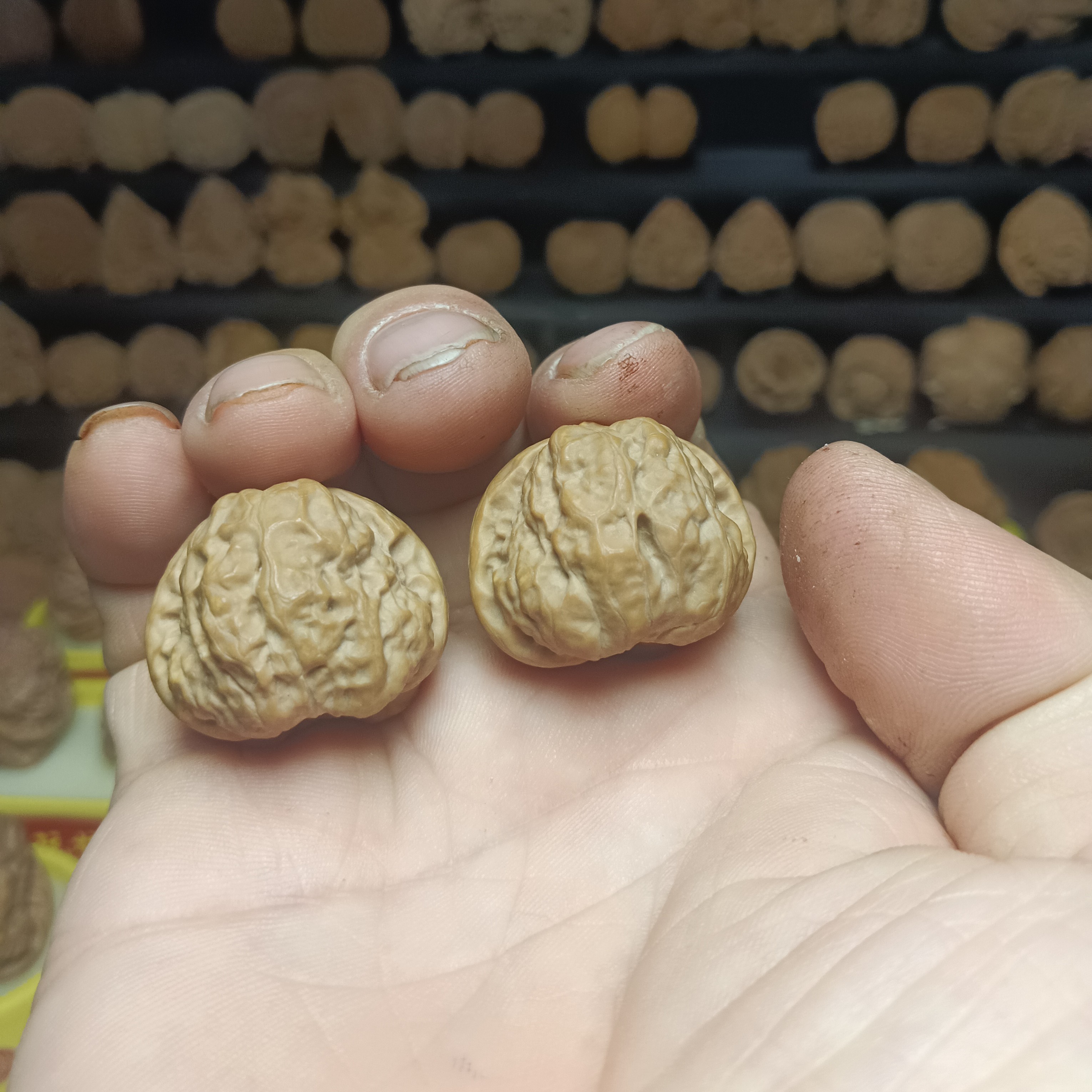 精品金蟾蛤蟆头文玩核桃3.3尺寸延庆山地果上色快精配