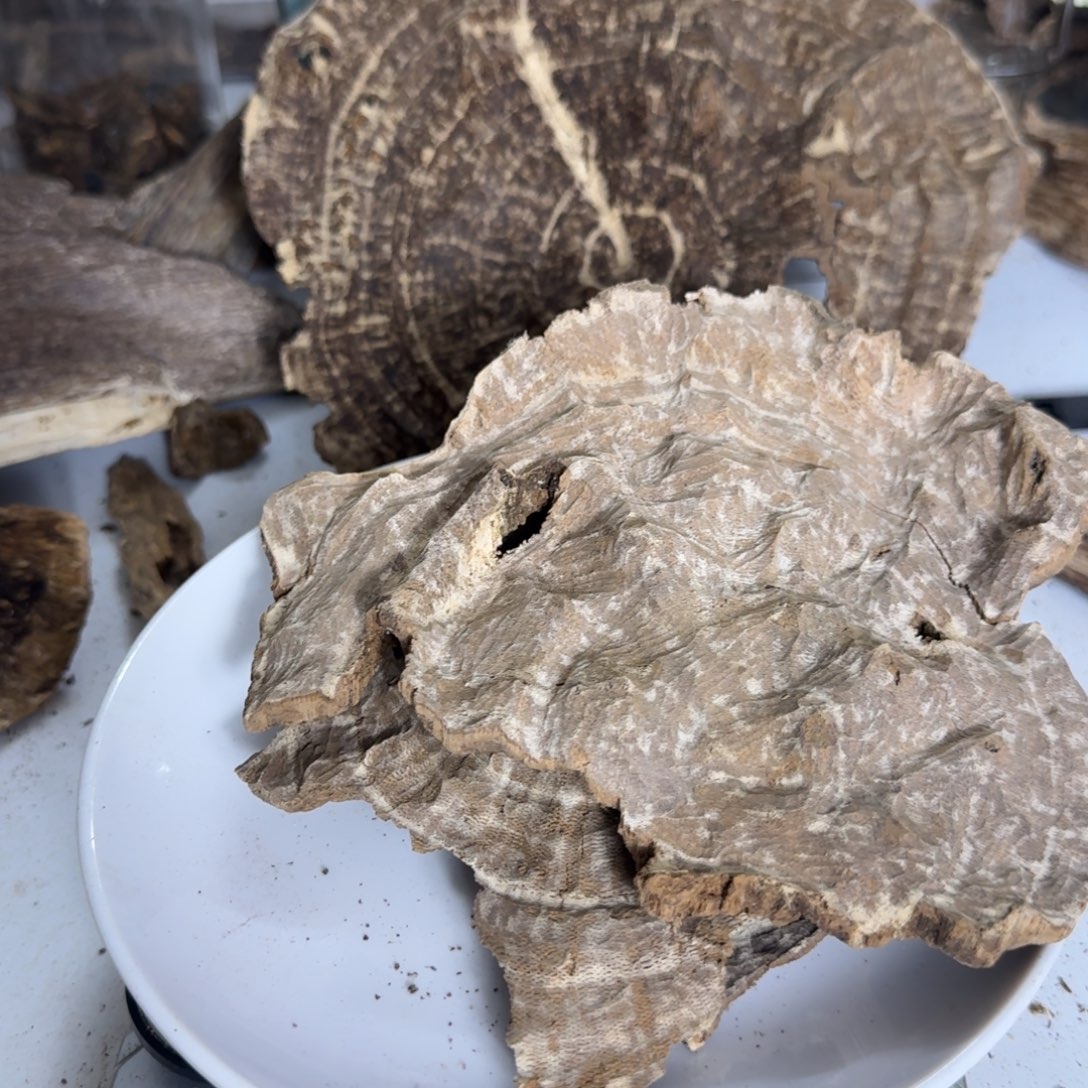 沉香碎屑沉香深圳老顶72克