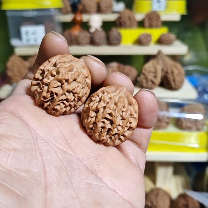 巷***店30加尺寸秦岭闷尖狮子