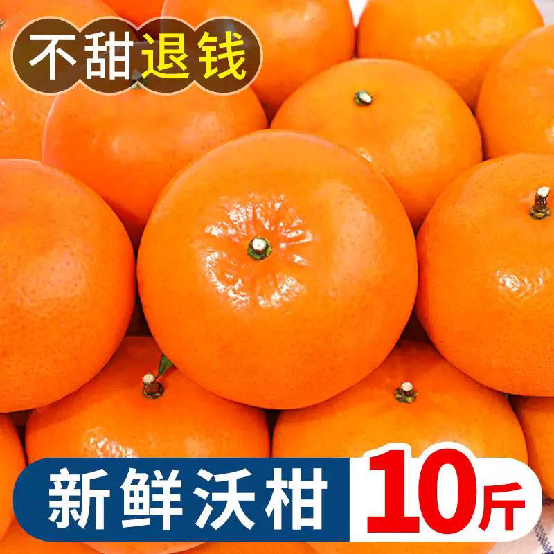 【广西正宗武鸣沃柑】直播广西武鸣10斤新鲜现摘果园应季水果皮薄