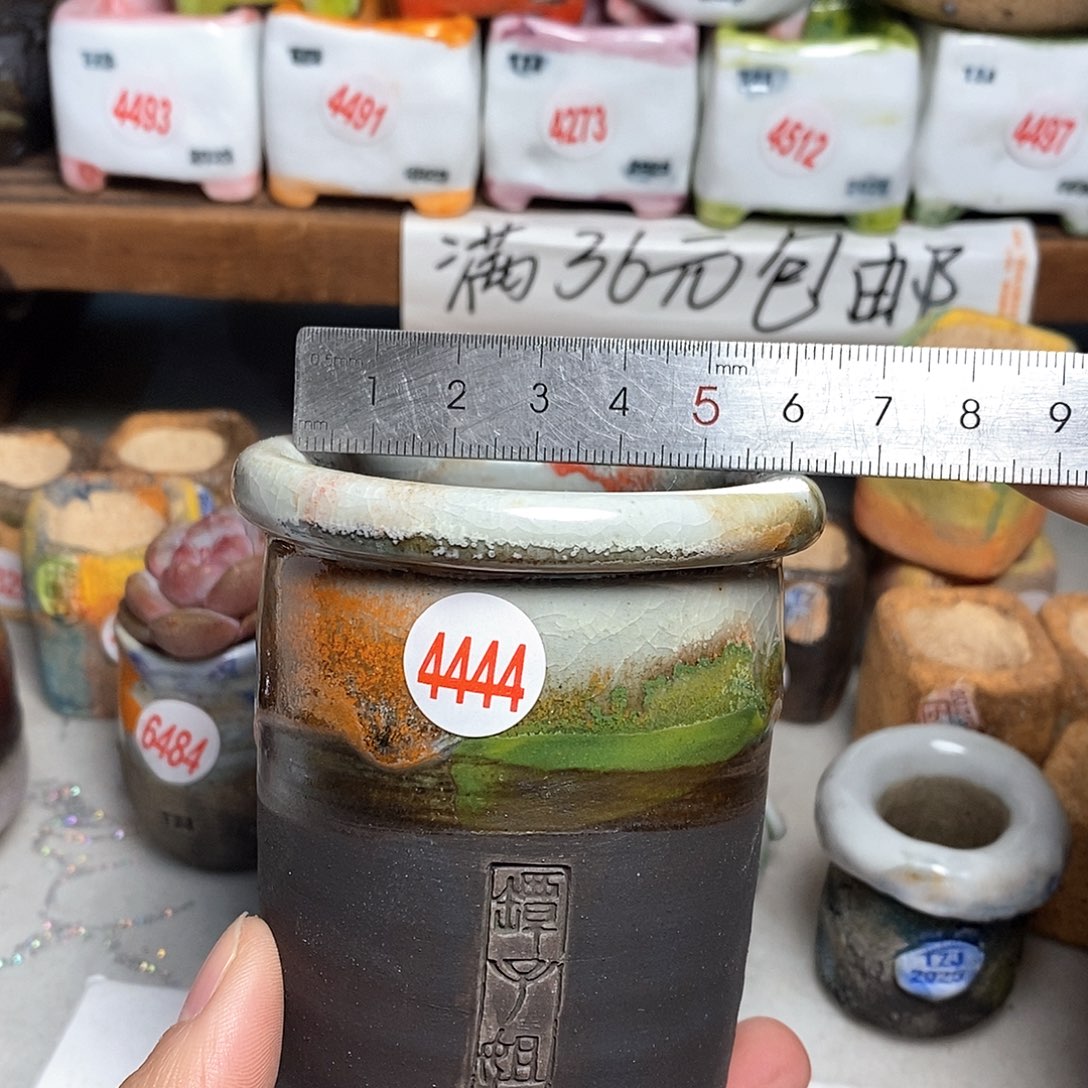 红陶拍5送一个小