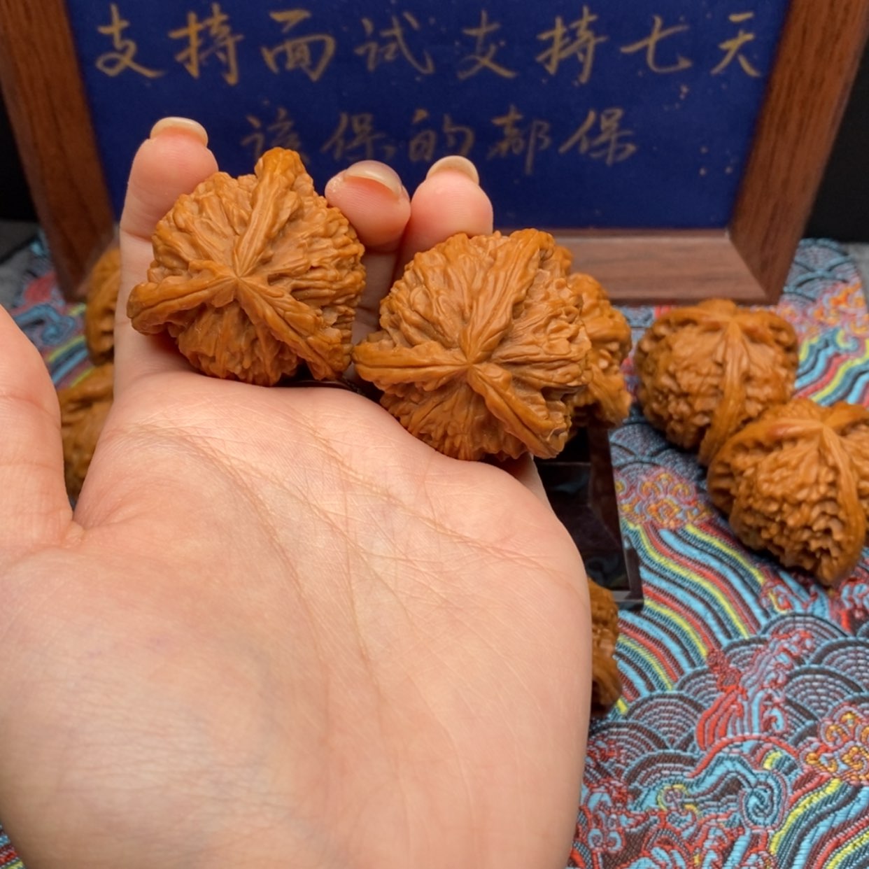 【闪购商品】是***！白狮