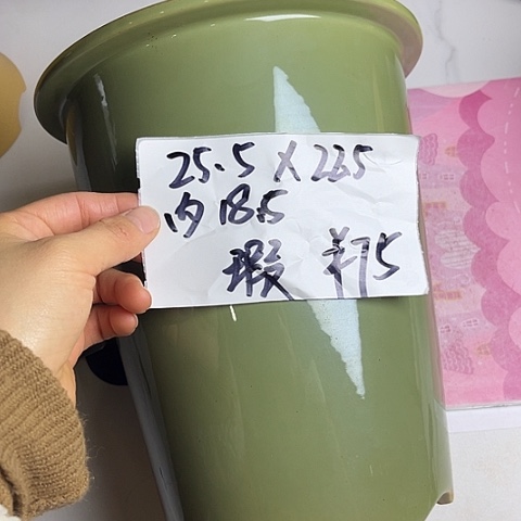 紫砂222222222222222222