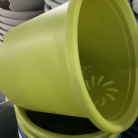 树脂四季6号微瑕果绿无托7个