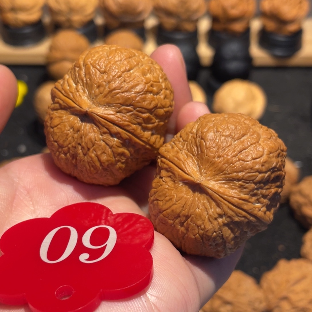 金丝绣球核桃带彩38。 