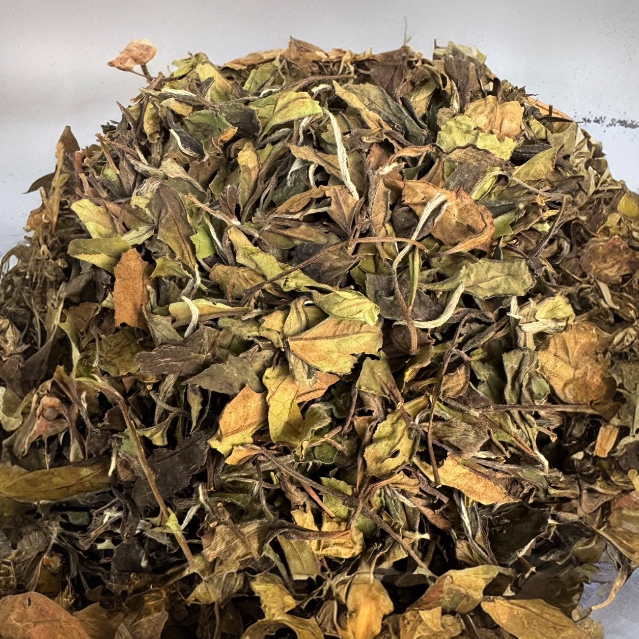 2021年春寿眉福鼎白茶老白茶磻溪高山茶云雾茶枣香花果香散茶盒装