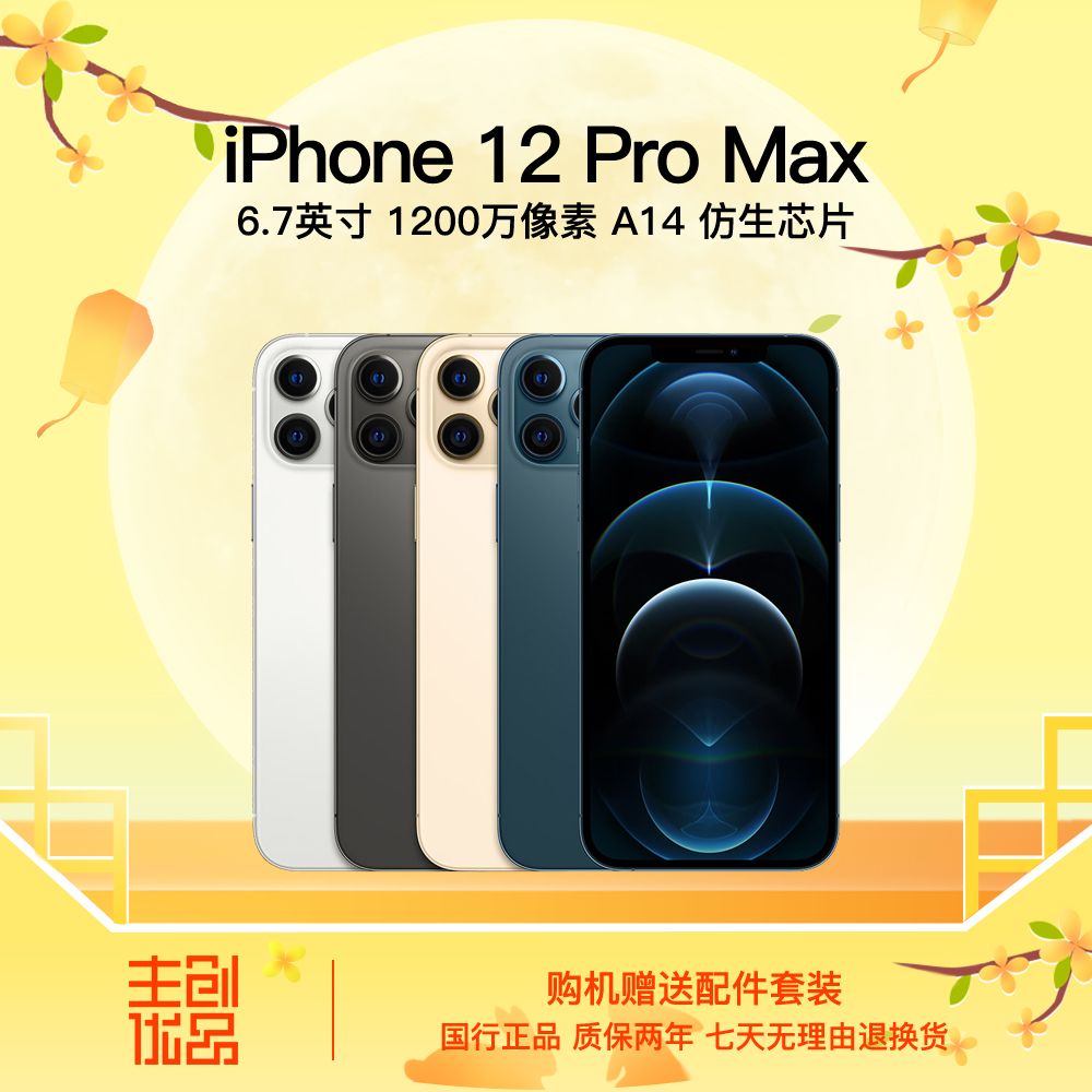 95新 Apple/苹果 12ProMax国行正品双卡5G全网通零售机严选优品