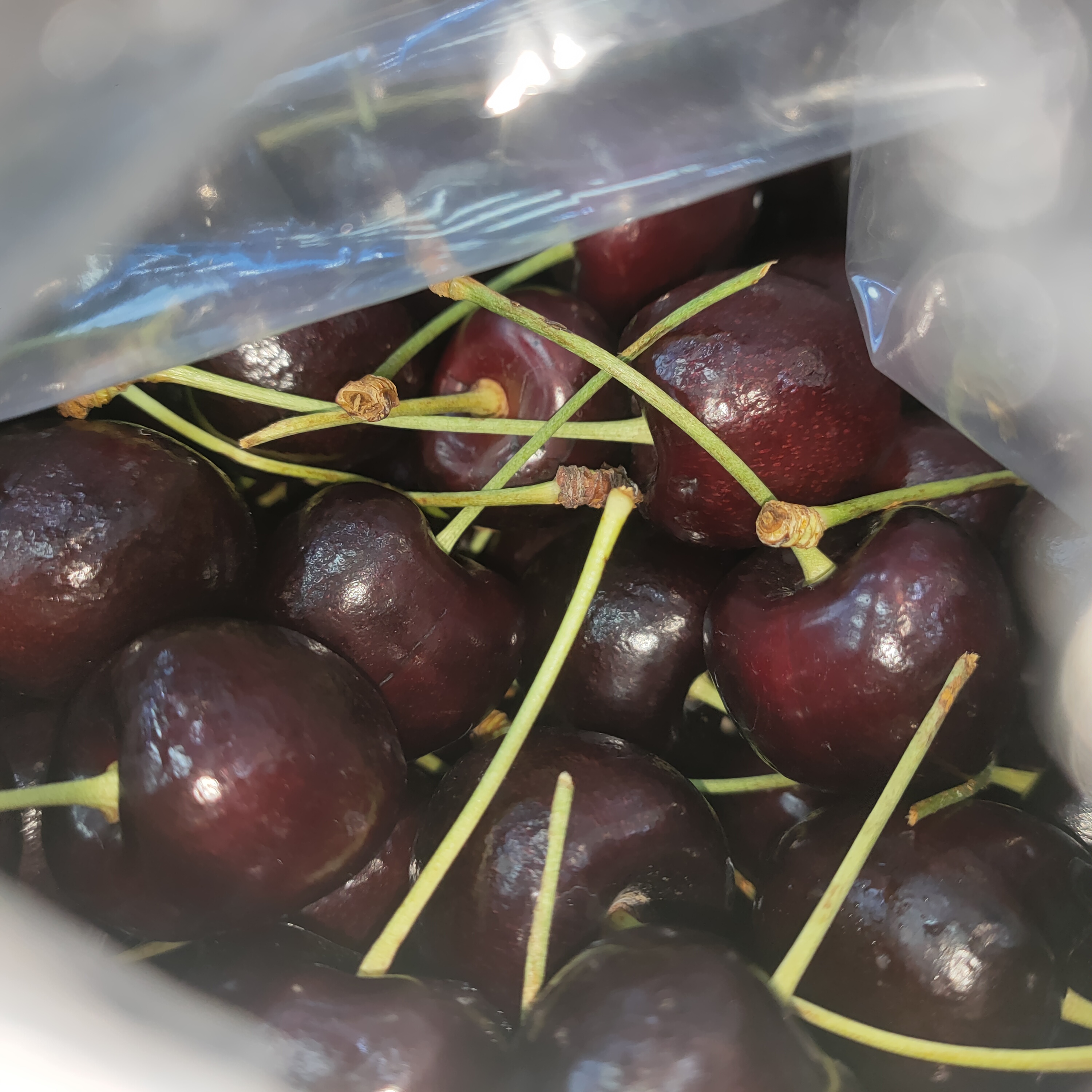 WJD黑车厘子   5斤