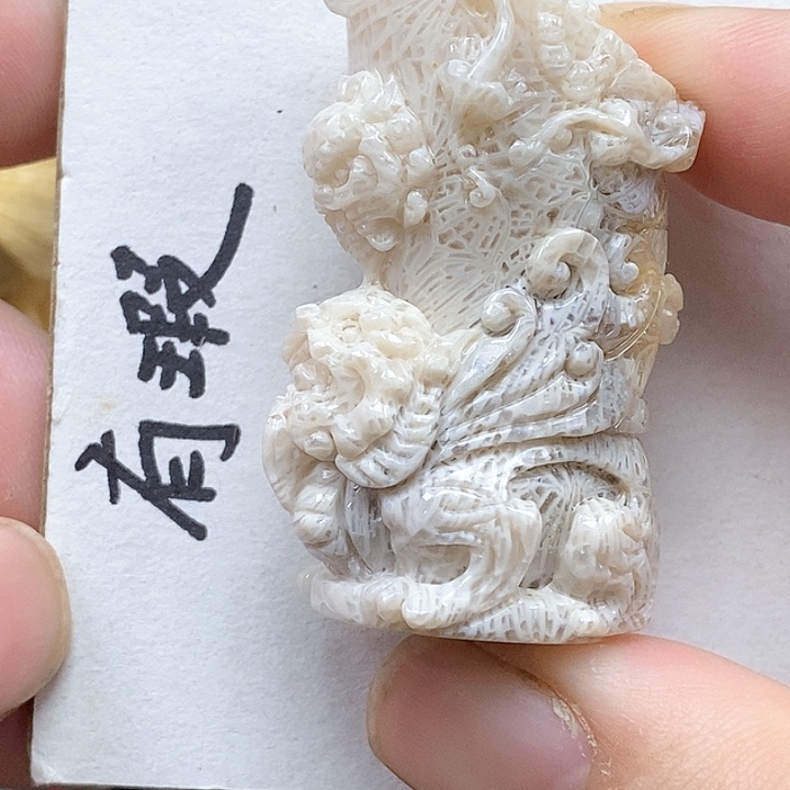 颈饰未镶嵌硅化珊瑚（珊瑚玉）