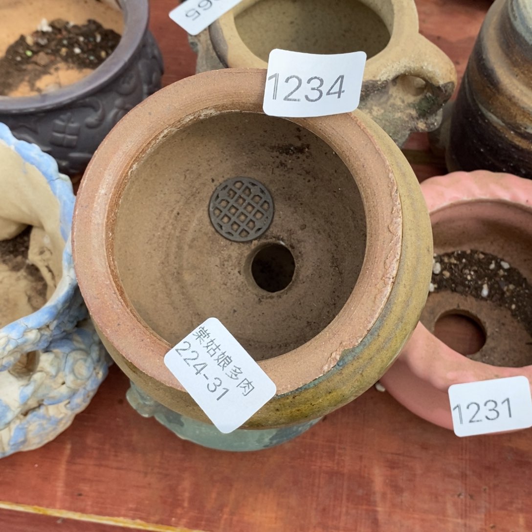 红陶用****831号多肉花盆一个