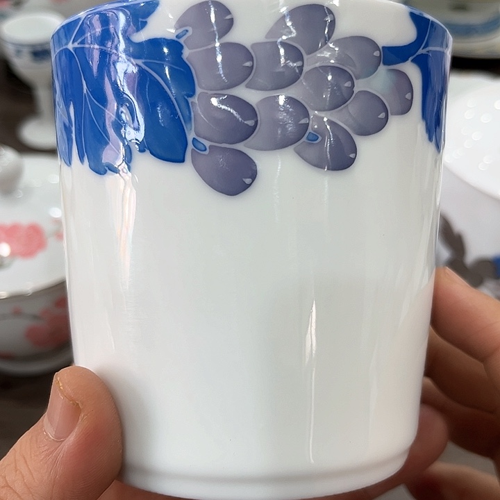 釉下五彩的瓷器和瓷器